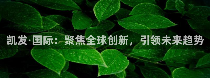 杏鑫娱乐-ng大舞台,有梦你就来：凯发·国际：聚焦全球创新，引领未来趋势
