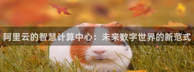 壹号平台娱乐：阿里云的智慧计算中心：未来数字世界的新范式