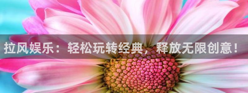 杏鑫娱乐官网