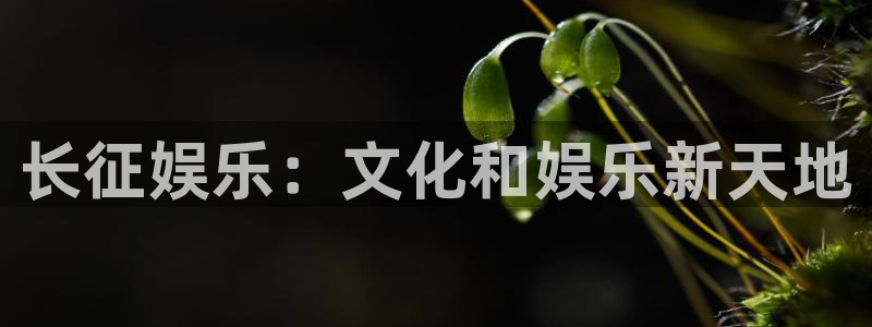 杏鑫娱乐官网下载