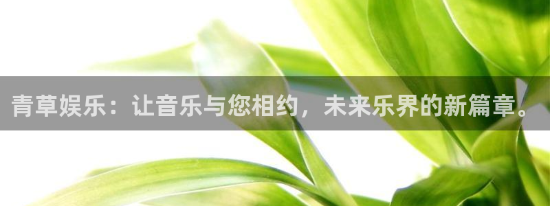 杏鑫娱乐能退款吗