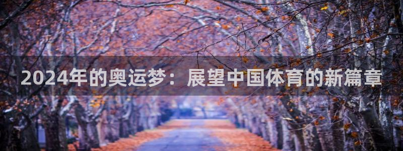 壹号电子娱乐app下载官网