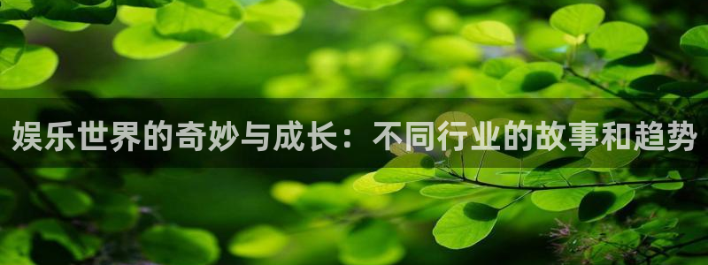 壹号国际app免费下载安装