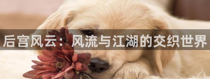 杏鑫娱乐充值怎么退款