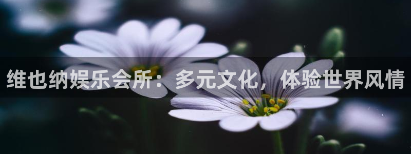杏鑫娱乐app官网下载