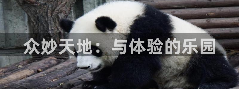 壹号电子娱乐app下载安装最新版本：众妙天地：与体验的乐园