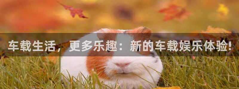 杏鑫娱乐官方网站下载