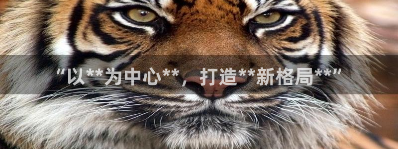 杏鑫娱乐下载