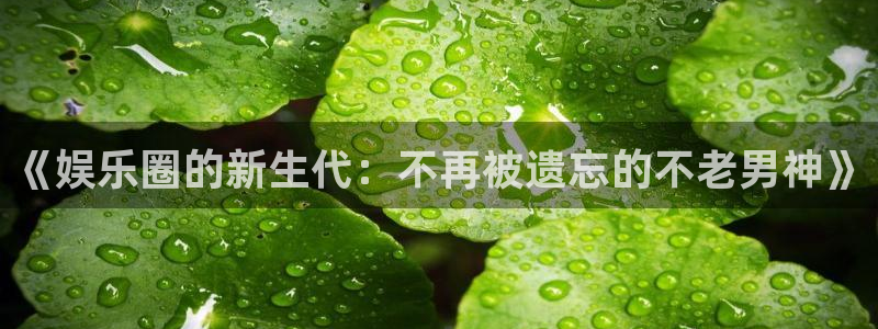 杏鑫娱乐com