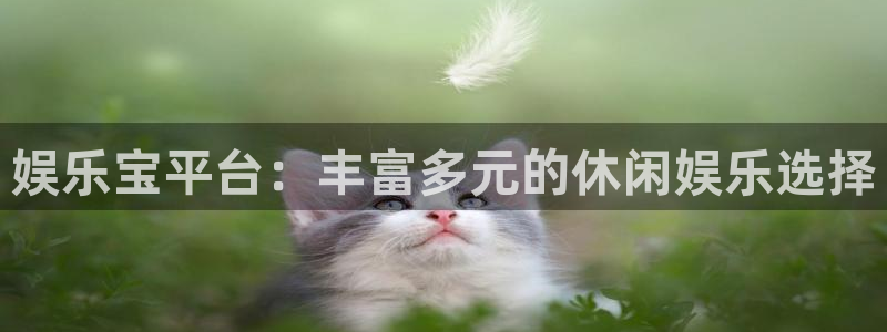 壹号平台下载安装