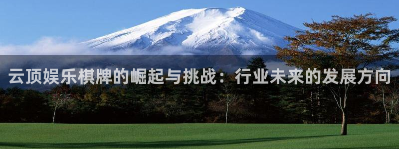 壹号大舞台入口：云顶娱乐棋牌的崛起与挑战：行业未来的发展方向
